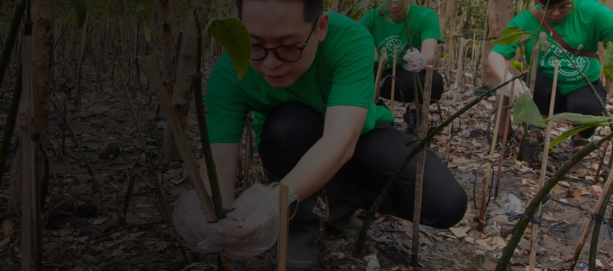 Sustainability Highlight